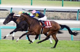 【京都記念（G2）】マカヒキ徹底考察 「『最強世代』のダービー馬が待望の復帰戦！気になる状態面を『3歳凱旋門賞』に挑んだ名馬と比較検証」