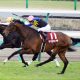 武豊の「8大競走」完全制覇に一役買ったスペシャルウィークが種牡馬引退!!