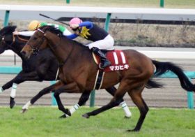 マカヒキとキタサンブラックがドバイで激突か!? 両陣営の選択が国内に大きな影響を……