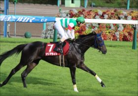 マリアライト引退。キタサンブラックとドゥラメンテを下したグランプリ牝馬のハイライト