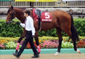 JRA「引退事情」でディサイファがフェブラリーS挑戦!? 調教師”ラスト”をG1出走で……