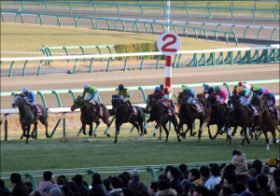 蛯名正義完全復活へ！ 戸崎圭太はベテラン馬で虎視眈々