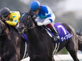 ヴィブロスが福永祐一騎手を伴いドバイ遠征！ 昨年の「屈辱」を晴らすことはできるのか!?