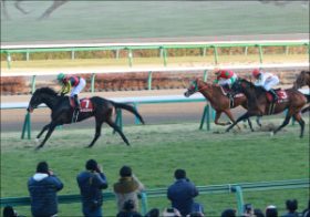 ダンビュライトに「先着」強豪4歳ポポカテペトルが仕切りなおしの一戦