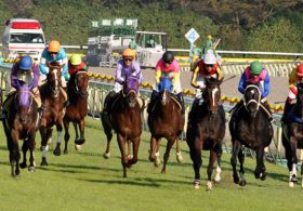 JRA「千直マイスター」がかえって裏目!? ライオンボスはなぜアイビスS（G3）で控える競馬を試さざるを得なかったのか