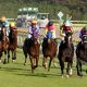 JRA田辺裕信「うっかり発言」で周囲ざわめく!? 南部杯(G1)アルクトス超絶レコードで「有終の美」!?
