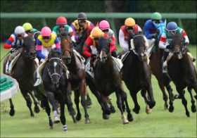 大西直宏の東京新聞杯（G3）予想も！ 厳選！今週東京開催の「イチオシ馬」を公表