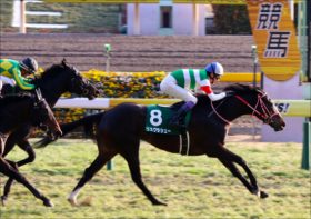 武豊リスグラシュー「圧巻勝利」で春女へ！ 一方「試行錯誤」あの馬は未だ浮上できず