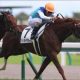 JRA「迷走」オジュウチョウサン「障害→天皇賞」に疑問。除外濃厚な「理由」も