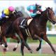 JRA「迷走」オジュウチョウサン「障害→天皇賞」に疑問。除外濃厚な「理由」も