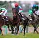 JRA【マイラーズC(G2)結果】ダノンプレミアム完勝で「アーモンドアイ」直接対決へ!? 安田記念(G1)は「現役No.1」を懸けた一戦に!