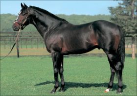 武豊の「8大競走」完全制覇に一役買ったスペシャルウィークが種牡馬引退!!