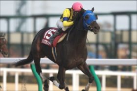 G1馬・グレープブランデーが障害競走転向!!　2度の故障から復活した同馬は最後の一花を咲かせることができるか？