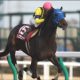 フェブラリーS(G1)制覇に向けカフジテイクが「伝説級」の豪脚に磨き!悲願の頂点獲りに福永祐一騎手が残して行った「ツケ」とは