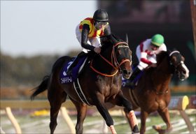 【かしわ記念（G1）展望】ノンコノユメVSゴールドドリーム再び！ 上り調子インカンテーションと三つ巴の激戦