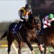 帝王賞(G1)古川吉洋「暴走」で「武豊×テイエムジンソク」チェンジの可能性……個人馬主と「逃げ」という共通点