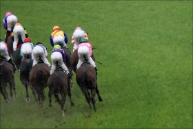 テイエムオペラオー死す「悪質ファン」蛮行の影響は？ 「JRA賞金王」キタサンブラックに譲った矢先