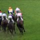 今年のスプリングS(G2)が実は名馬誕生の年!? 勝ち馬が「皐月賞で馬券圏内」&「G1馬確定」となる”明”と”暗”の法則とは
