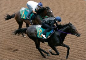 競馬のバイブルここにあり！鈴木和幸氏が競馬記者歴45年の知識を開放する。鈴木和幸の競馬解説～調教編その2～