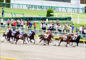 JRA古川吉洋騎手「騎乗停止」も”神”回避!?　21年ぶりのG1制覇へフェブラリーS（G1）テイエムジンソク騎乗は……