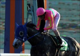 平安S（G3）テイエムジンソクに「秘策」あり!? ダート無敗の「怪物」グレイトパール打倒へ陣営の「思惑」を現場関係者が語る