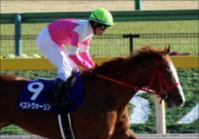 C.ルメールでベストウォーリア「2着王」復活か……不気味な陣営の「楽観視」