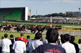 松岡正海騎手が落馬事故で「騎手生命」にも影響か……三浦皇成騎手が復帰に1年を要した骨盤骨折も、武豊騎手の「伝説」が示した可能性に期待