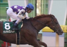 JRAダート「善戦ホープ」サンライズノヴァ絶好枠で勝機？ 自信満々「陣営の本音」は