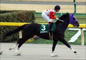 “代打騎乗”の津村明秀騎手の腹は決まった!?　大舞台・フェブラリーSでG1初戴冠なるか!?