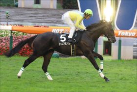 JRA「最強血統」タニノフランケルついに重賞挑戦！ セントライト記念（G2）での鍵は……