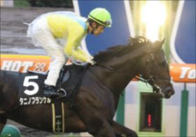 ウオッカの仔「今度こそ……！」高額馬揃いの週末OP＆500万下にクラシック狙う3歳集結