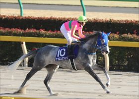 帝王賞（G1）古川吉洋「暴走」で「武豊×テイエムジンソク」チェンジの可能性……個人馬主と「逃げ」という共通点