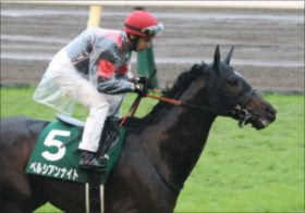 M.デムーロ騎手「ベタ惚れ」最優先!? 新マイル王ペルシアンナイトに「勝ちにこだわる男」がぞっこんの理由