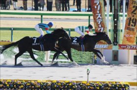 【ベルモントS（G1）展望】怪物エピカリスが米国三冠の最終章に名乗り！昨年ラニが3着した舞台で「米国2歳王者」との一騎討ちに挑む！