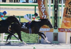 怪物エピカリス＆武豊アディラートの”最強コンビ”が出陣！日本馬にチャンス大のUAEダービー（G2）展望