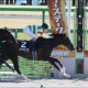 エピカリスは何故ベルモントS(G1)を選んだのか? 米国主催「日本馬だけ」ボーナス100万ドル!? 米国の競争原理が生んだ露骨「接待」の背景