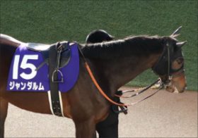 武豊ジャンダルム「サトノダイヤモンドに先着」でクラシックコンビ確定？ 超強力弥生賞で結果を出したい理由