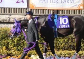 福永祐一とカフジテイクのコンビが復活!?　次走予定のドバイで「伝説級」の豪脚は再現されるのか!!