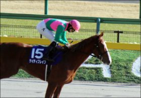 引退・目野哲也調教師が「JRAイチ神ってる」理由……使い詰め批判も管理馬活躍、しかし「受け入れ先」は不安？