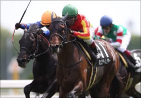 ダンスディレクターが故障で高松宮記念を回避！　不運すぎる馬は再度復活することができるのか？