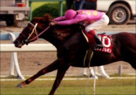 【特別追悼寄稿】「さらば、坂路の申し子ミホノブルボン」競馬の常識を覆した「雑草魂」は25年の時を経て、天国で待つライバルの元へ