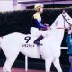 やはり表記は「武豊」? 本人の意向を受けJRAの判断やいかに!?