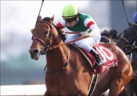 CBC賞（G3）でシャイニングレイが新たな顔を見せる!? 「未完の大器」真の姿に期待