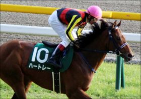 素質馬・ハートレーが復帰間近!? 「ホープフルSの呪い」を超えて再びの活躍なるか
