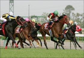 武豊の穴馬はココで買え！　万馬券を呼ぶ注目の重賞穴馬データを公開中！～中山牝馬ステークス・金鯱賞・フィリーズレビュー～