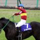 大阪杯(G1)「鞍上問題」決着! ダンビュライト、ペルシアンナイト「騎手決定」で浜中俊、福永祐一、三浦皇成に”逆襲”のチャンス!?