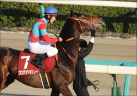 天皇賞「復活するする詐欺」ワンアンドオンリー陣営は今回も……光が見えるのはいつか