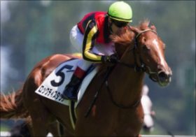 JRA池添謙一大ショック!? ロックディスタウン前哨戦勝っても「桜花賞回避」可能性浮上