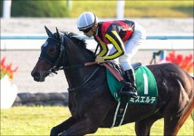 「直行ローテの是非」桜花賞に挑むミスエルテは能力確かも不安材料多数…。末脚爆発にはファンタジーSの「再現」が必要か？