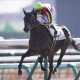 JRA「宝塚記念視野」オジュウチョウサン二刀流は続く!? JRAも大助かりか